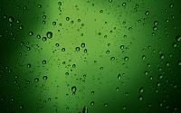 green_raindrops_in_macro-1440x900.jpg